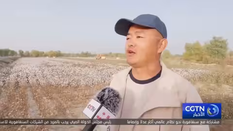 أشجار الحور الفراتي: درع طبيعي لمواجهة التصحر في سينتيا
