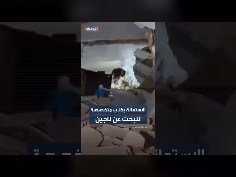 استعانة بكلاب متخصصة للبحث عن ناجين في فنزويلا