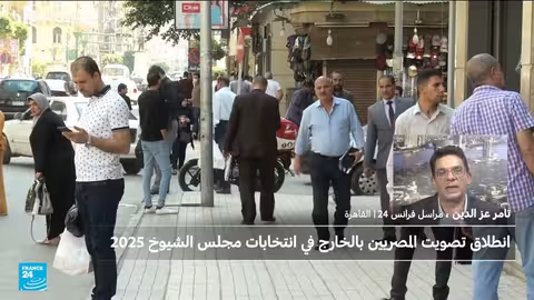 انتخابات مجلس الشيوخ المصري: بدء التصويت في الخارج وإقبال متفاوت