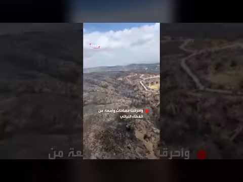 حرائق ألميريا تترك دماراً واسعاً
