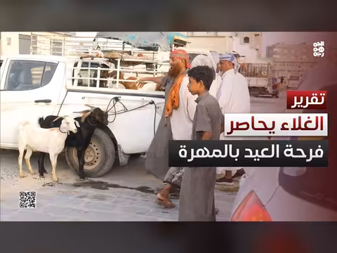 غلاء الأضاحي يحاصر فرحة العيد في المهرة