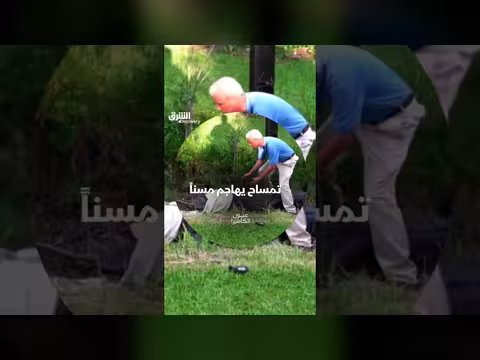 تمساح يهاجم مسناً: ما الذي سيحدث بعد الإمساك به؟