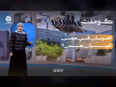 حملة قنص الغربان تثير الجدل في عدن
