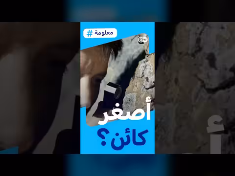 مهندسة النظام البيئي