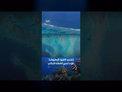 الحيد المرجاني العظيم في أستراليا يفلت من قائمة التراث المهدد