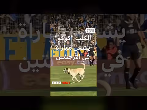 كلب يقتحم ملعبًا في الأرجنتين