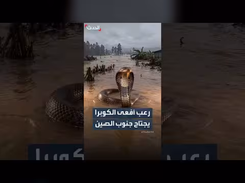 سيول في الصين تجرف مزرعة وتطلق hundreds من الثعابين السامة