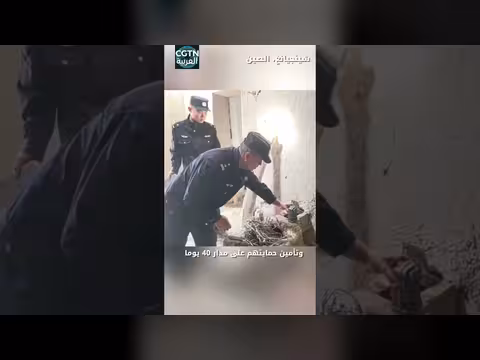 40 يوما من الحراسة الصامتة لحماية قط بالاس