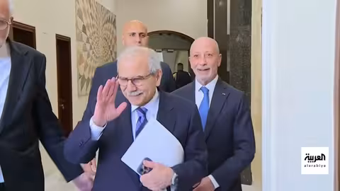 العليمي يحذر من تهديد حوثي للبحر الأحمر.. وخطط لإنهاء حرب غزة