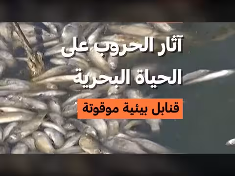 آثار الحروب على الحياة البحرية