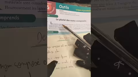 1ère année collège l heure de français page 142 le pluriel des noms composé