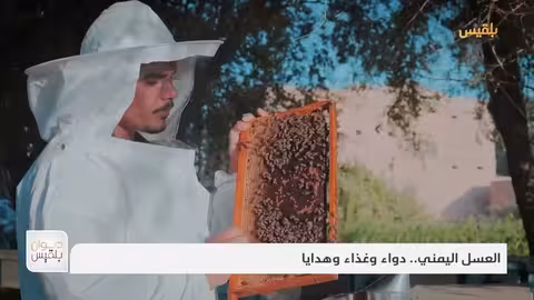 العسل اليمني.. دواء وغذاء وهدايا تقرير: موسى النمراني