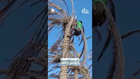 تهامة تتحدى الجاذبية: لحظات من برنامج رحلة حظ