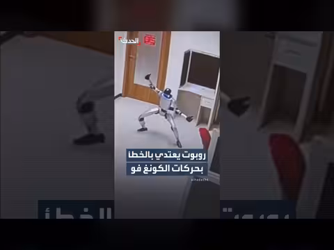 روبوت يعتدي بالخطأ بحركات الكونغ فو