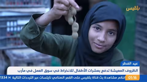 نشرة 1 العليمي يدعو لوحد الصف ويقول إن استعادة الدولة صارت أقرب من أي وقت مضى