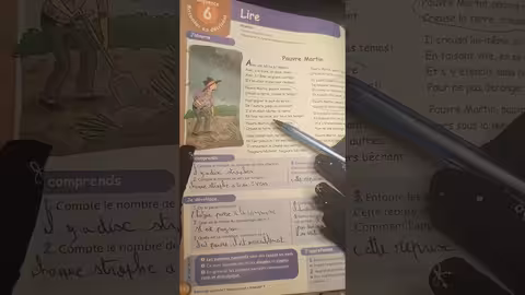 1ère année collège l heure de français page: 132 activité: lecture pauvre Martin