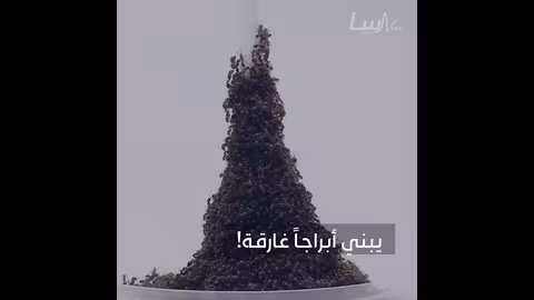 حصاد الساحة العلمية الحلقة الرابعة