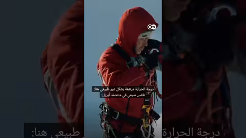 وثائقي، shorts