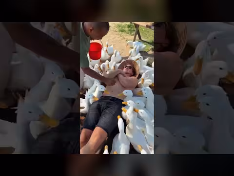 مساج غير تقليدي في فيتنام