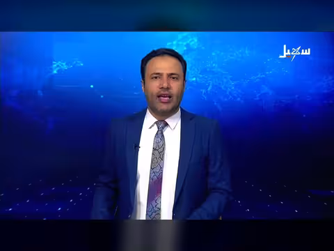 العليمي: التعدي على الاختصاصات اليمنية