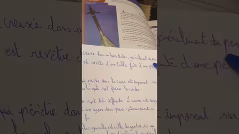 1ère année collège l heure de français page 106 décrire un objet le gunbri