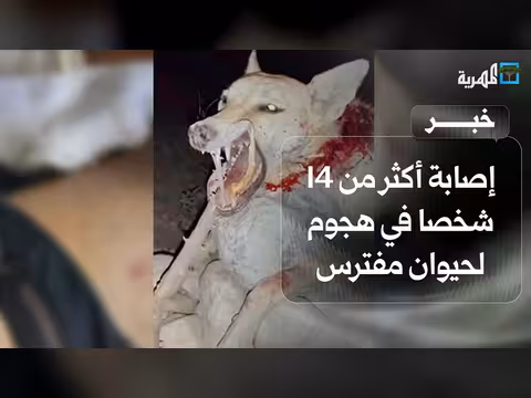 إصابة 14 شخصا في هجوم حيوان مفترس بحضرموت