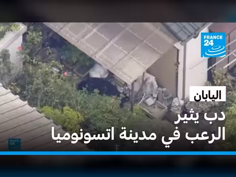 مطاردة دب ترعب مدينة يابانية وتغلق 100 مدرسة