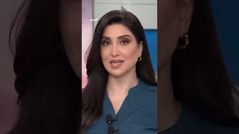 مروان حمادة ينفي الإساءة لالروشة وذكرى نصرالله