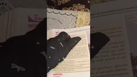 3ème année collège passerelle page 136,137 l élément perturbateur la nouvelle policière