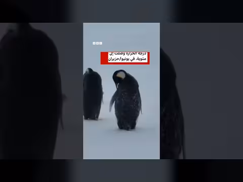 درجات حرارة قياسية في أنتاركتيكا خلال الشتاء