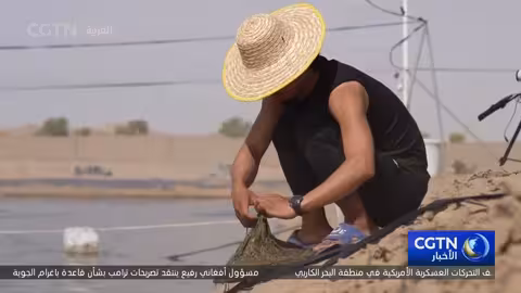 تاكلامكان: تحول الصحراء الصينية إلى مركز للطاقة وتربية الأحياء المائية