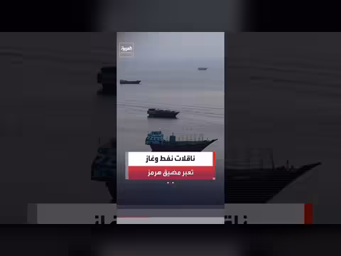 24 سفينة شحن عبر مضيق هرمز