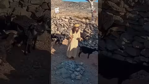 تجربة الراعي: لحظة لطف من غنمة يمنية