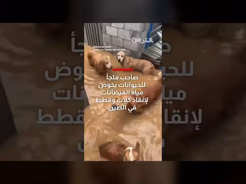 صاحب ملجأ للحيوانات ينقذ الحيوانات في الفيضانات الصينية