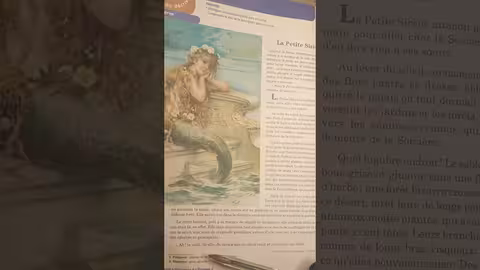 1ère année collège l heure de français page 140, 141 la Petite Sirène