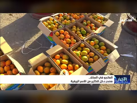 نشرة الأخبار الرابعة مساءً 21-6-2026