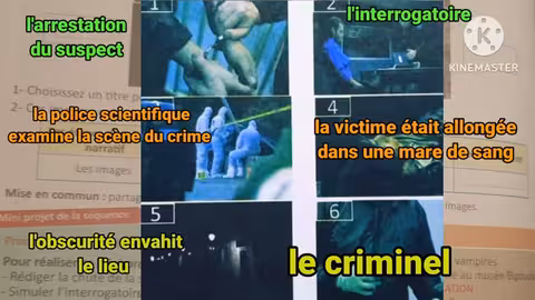 3ème année collège passerelle page: 168 le dénouement (la situation finale de la nouvelle policière)