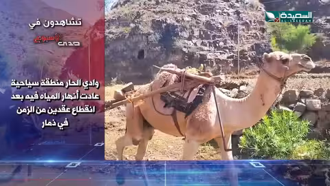 صدى الأسبوع 8 - 11 - 2024م - برومو