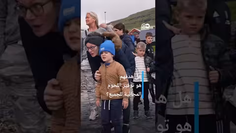 وثائقي، shorts