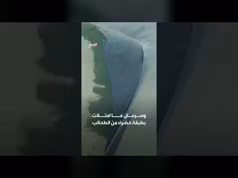 كارثة تلاحق مشروع ترمب لطلاء بركة نصب لينكولن