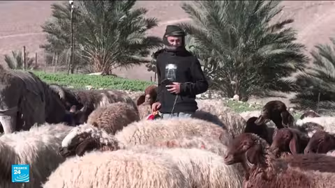 اعتداءات المستوطنين تجبر العائلات الفلسطينية على الرحيل