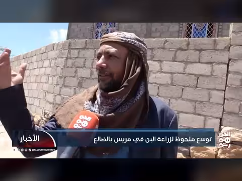 توسع زراعة البن في مريس