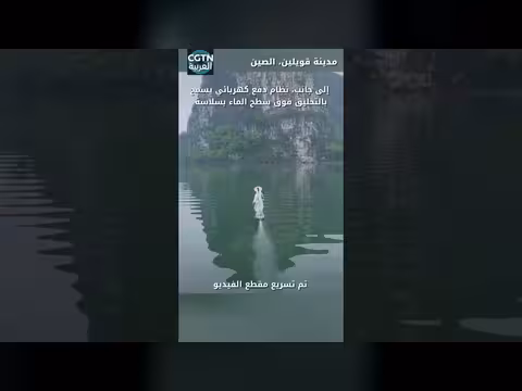 فارسة الضباب: تلاقي التكنولوجيا والووشو