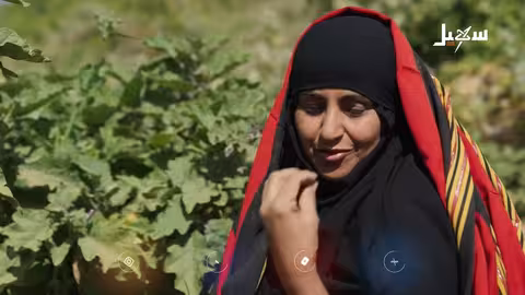 مسلسل الزوبعة الحلقة الثامنة