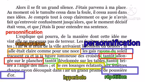 1bac le dernier jour d un condamné lecture chapitre 2 (la partie 2) les figures de style 2 الفصل