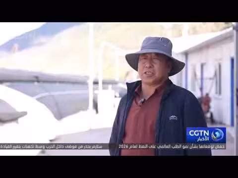 فطر الموريل يزهر في شيتسانغ خارج الموسم