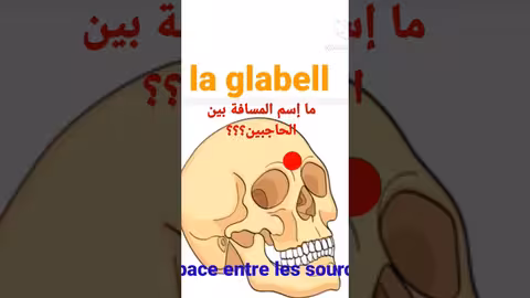 comment appelle - t - on la zone entre les sourcils ? ما إسم المسافة بين الحاجبين
