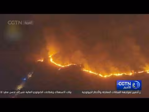 القبة الحرارية تسبب حرائق غابات في أوروبا