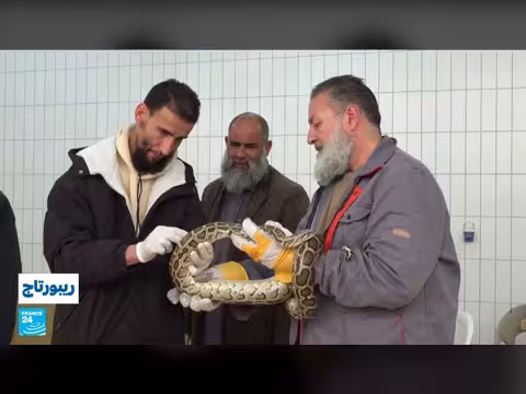فتح حديقة الحيوانات في طرابلس بعد سنوات من الإغلاق