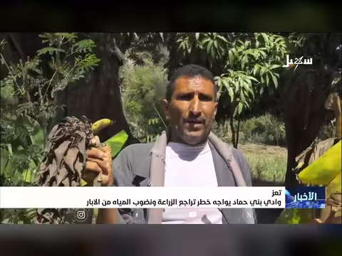 وادي بني حماد في تعز يواجه خطر تراجع الزراعة